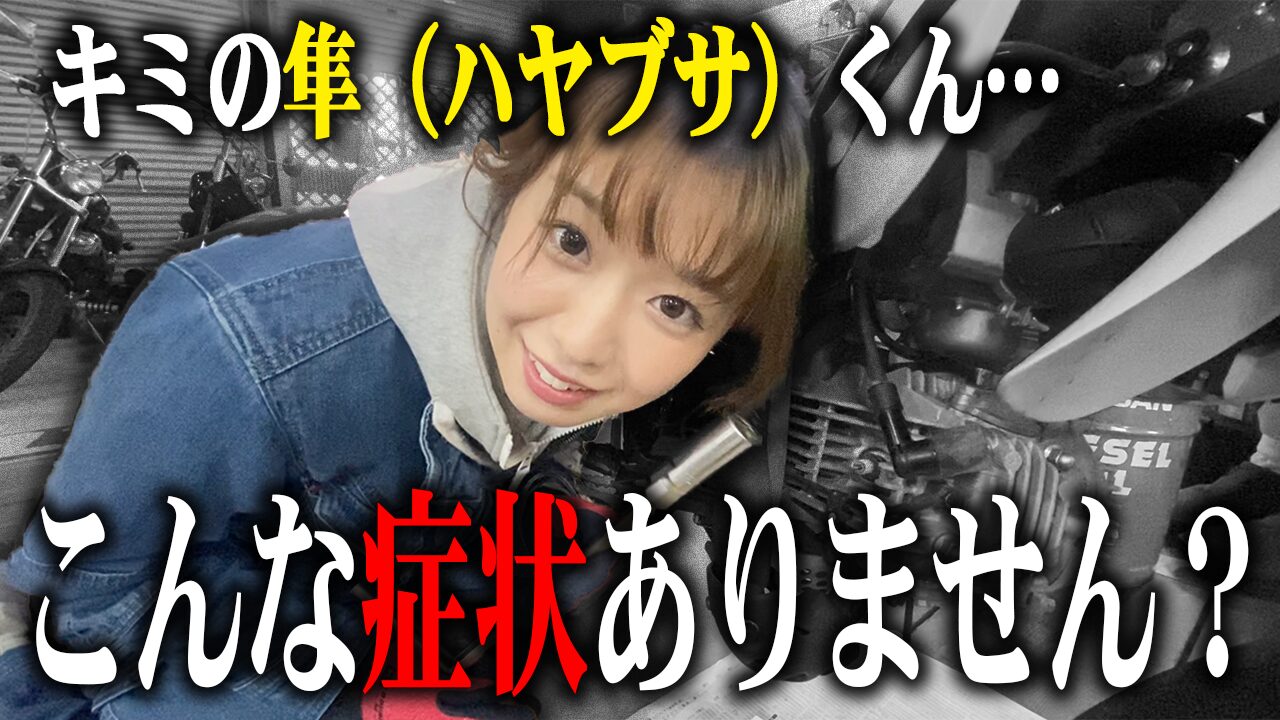 隼の査定で特に見られる3つのポイント