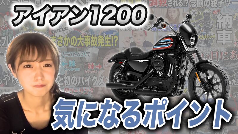 アイアン1200の気になるポイント