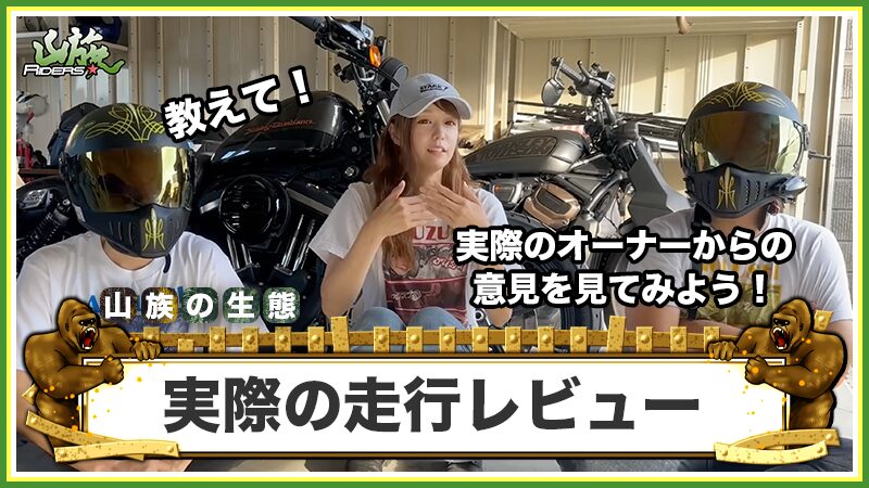 Vストローム250の実際の走行レビュー