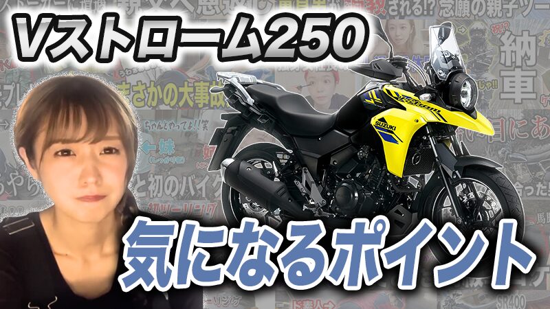 Vストローム250の気になるポイント