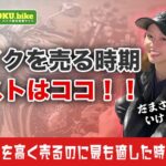 バイクを高く売る時期は存在しない？3年分のデータで見えた本当の売り時とは