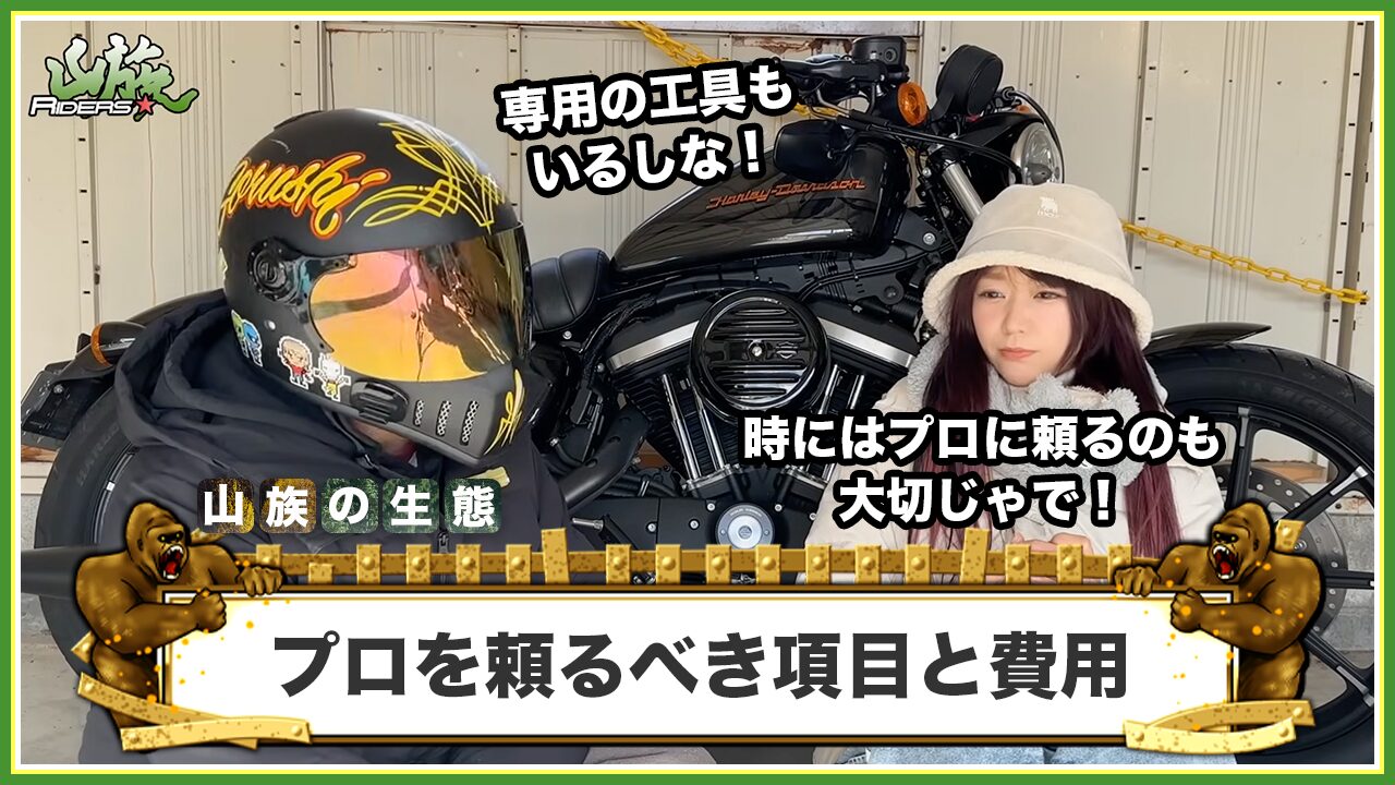 プロを頼るべきメンテナンス項目と費用