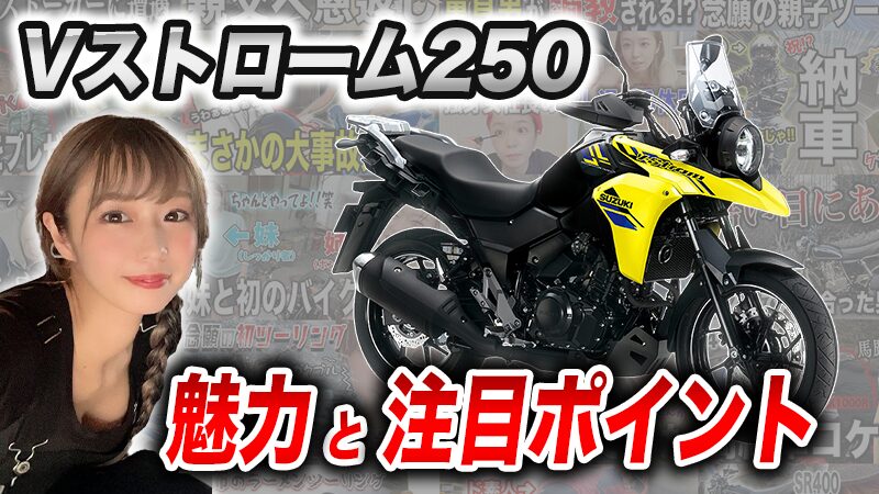 Vストローム250を選ぶメリット