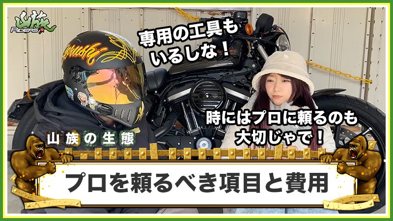 プロを頼るべきメンテナンス項目と費用