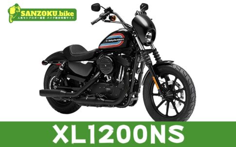 【2026年最新】アイアン1200の買取相場(年式・走行距離別)|査定ポイントと高く売るコツ