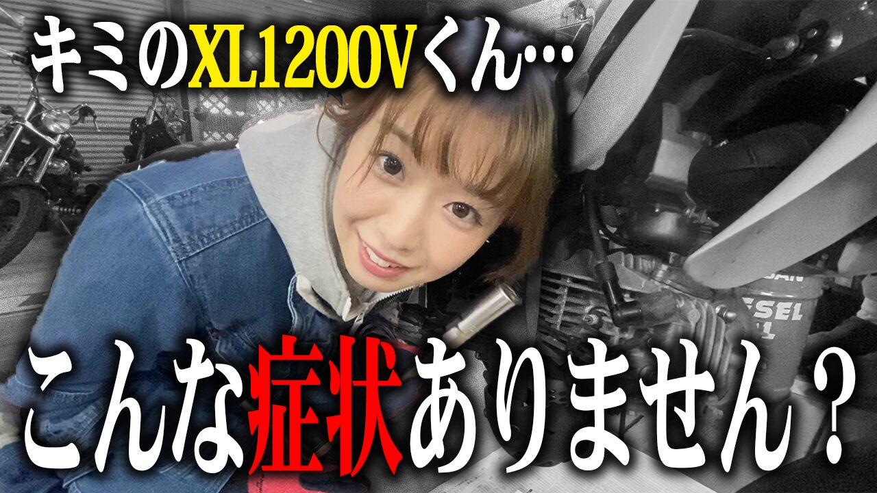 XL1200Vの査定で特に見られる3つのポイント