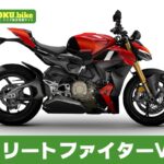 【2026年最新】ストリートファイターV4Sの買取相場(年式・走行距離別)|査定ポイントと高く売るコツ